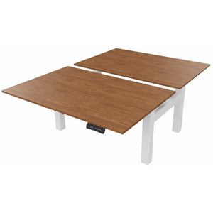 2 person standing desk with walnut desk tops and white frame