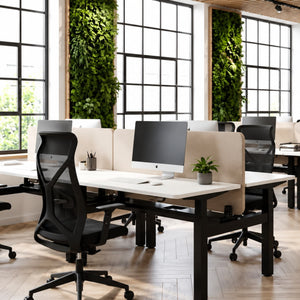 Height adjustable desk for 2 with white desk tops and privacy screens in an open-plan office