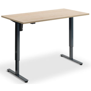 Single Motor Sit Stand Desk - Rize Mono - Anthracite Frame - Maple Top - Studio Image