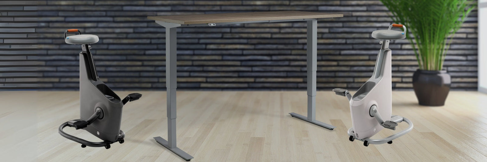 Exercise Bike Desks