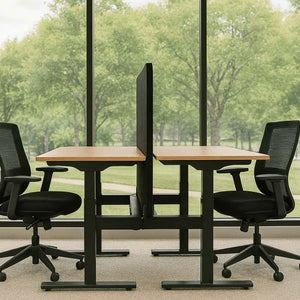 2 person height adjustable desk with oak desk tops, black frame and central privacy screen