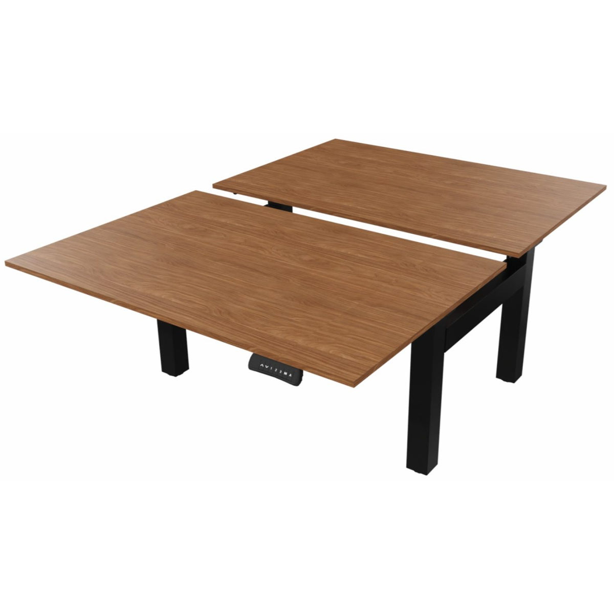 2 person standing desk with walnut desk tops and black frame