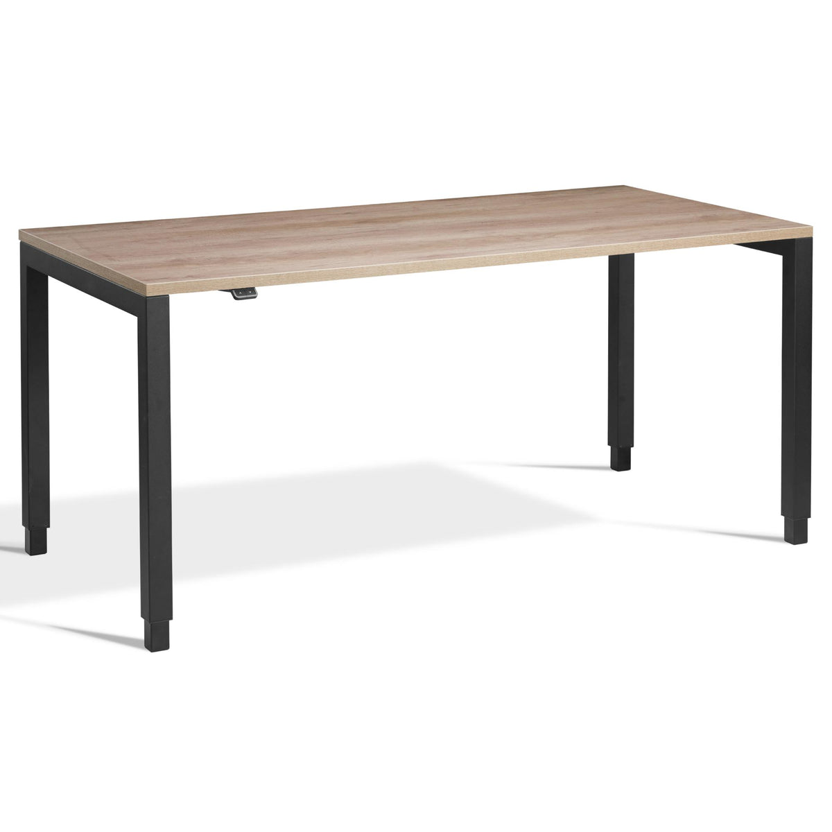 4 Leg Standing Desk - Rega - Black Frame - Grey Nebraska Oak Top - Studio Image