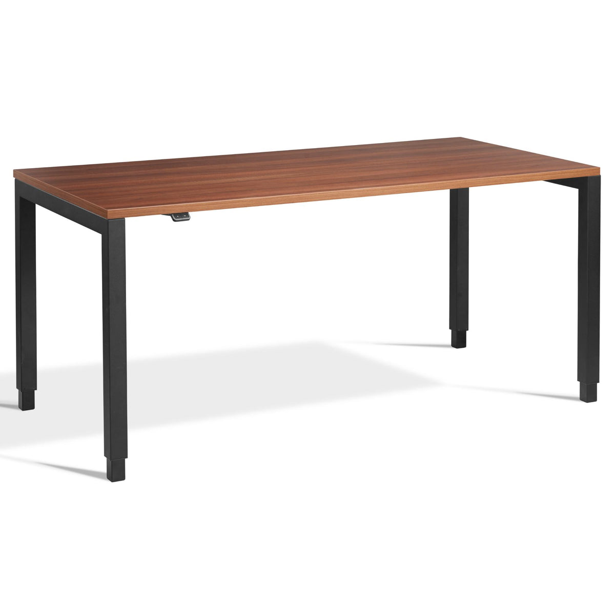 4 Leg Standing Desk - Rega - Black Frame - Natural Dijon Walnut Top - Studio Image