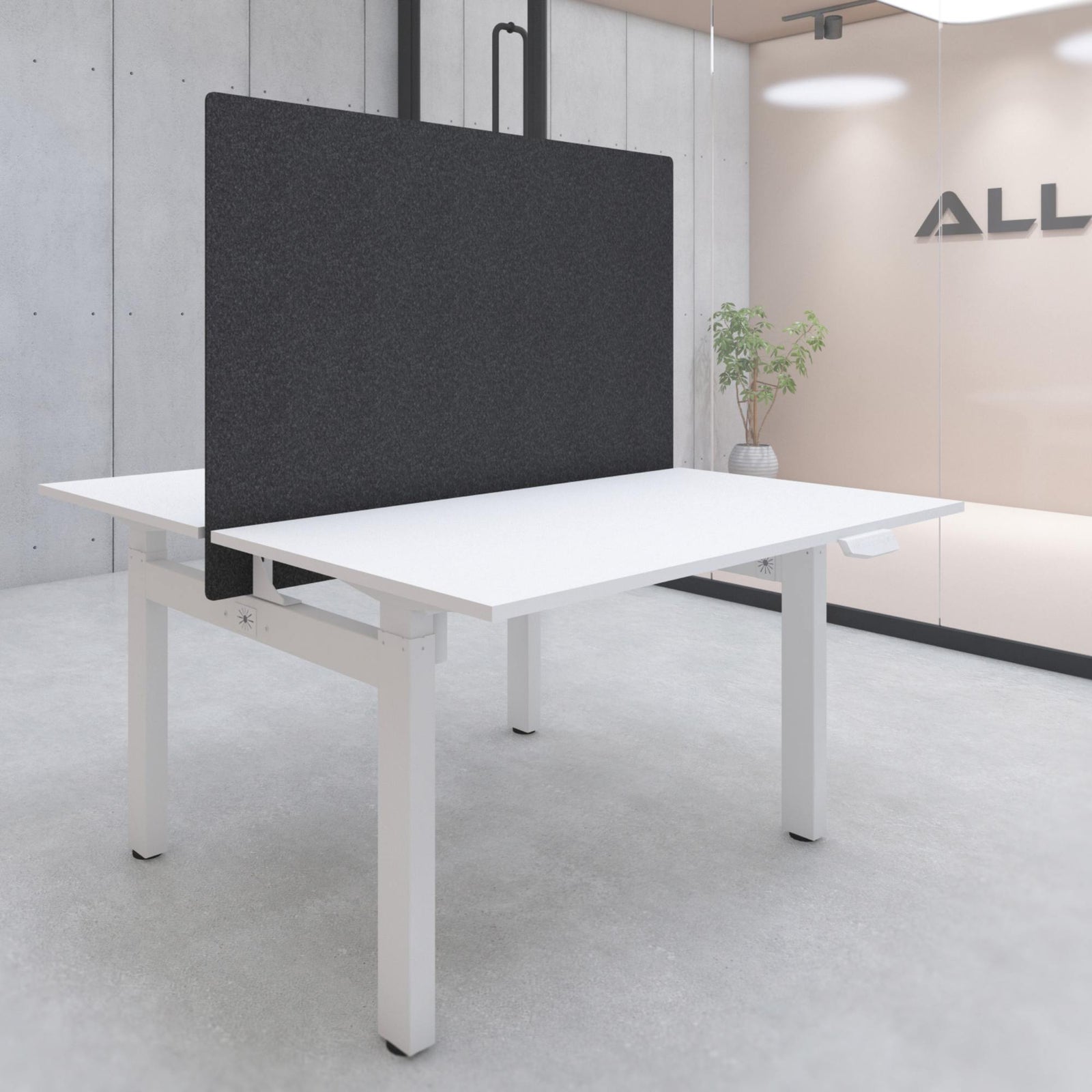 Double Sit Stand Desk Privacy Screen - Yo Yo Duo Privacy Screen - Black Colour