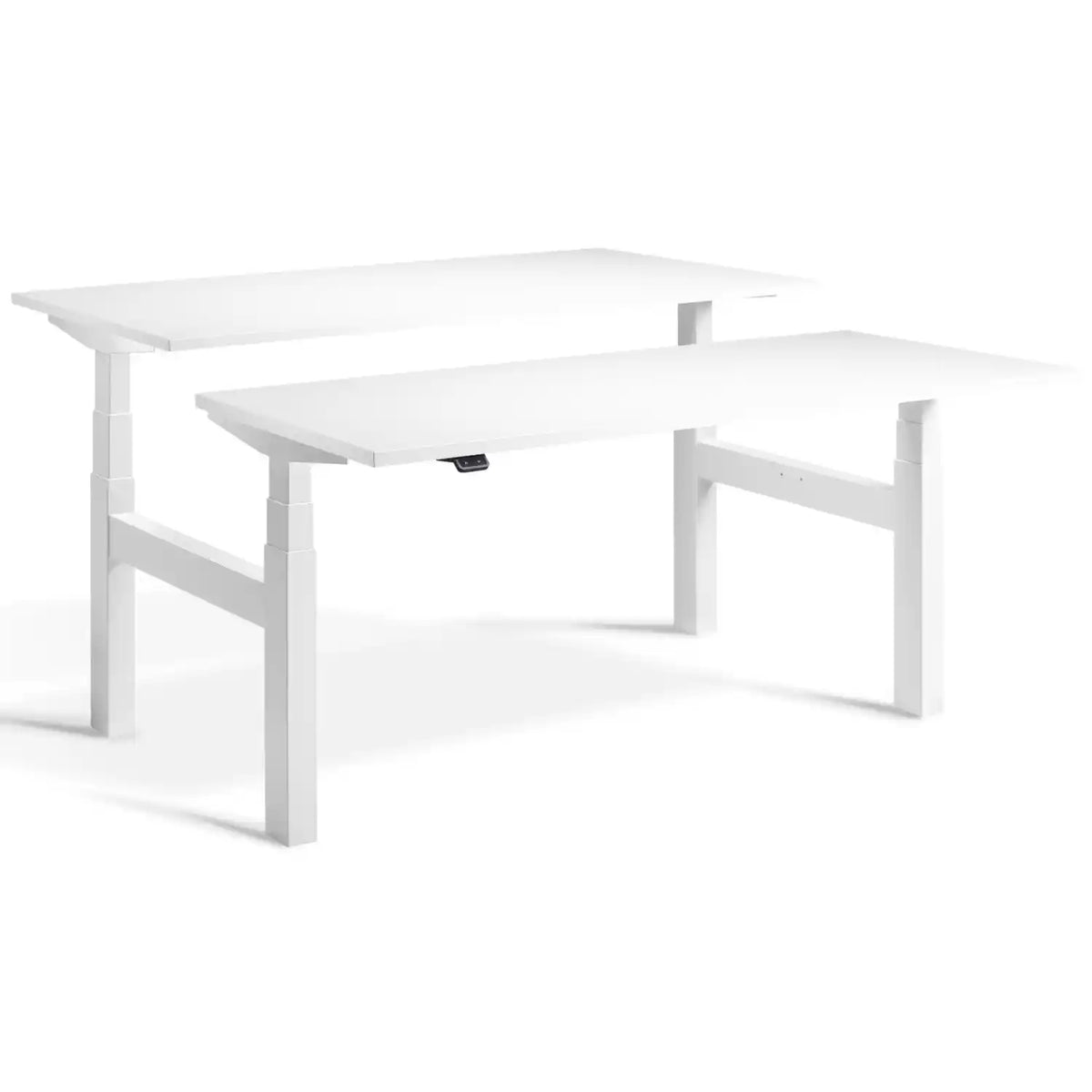 Duo adjustable desk with white frame and White desk tops