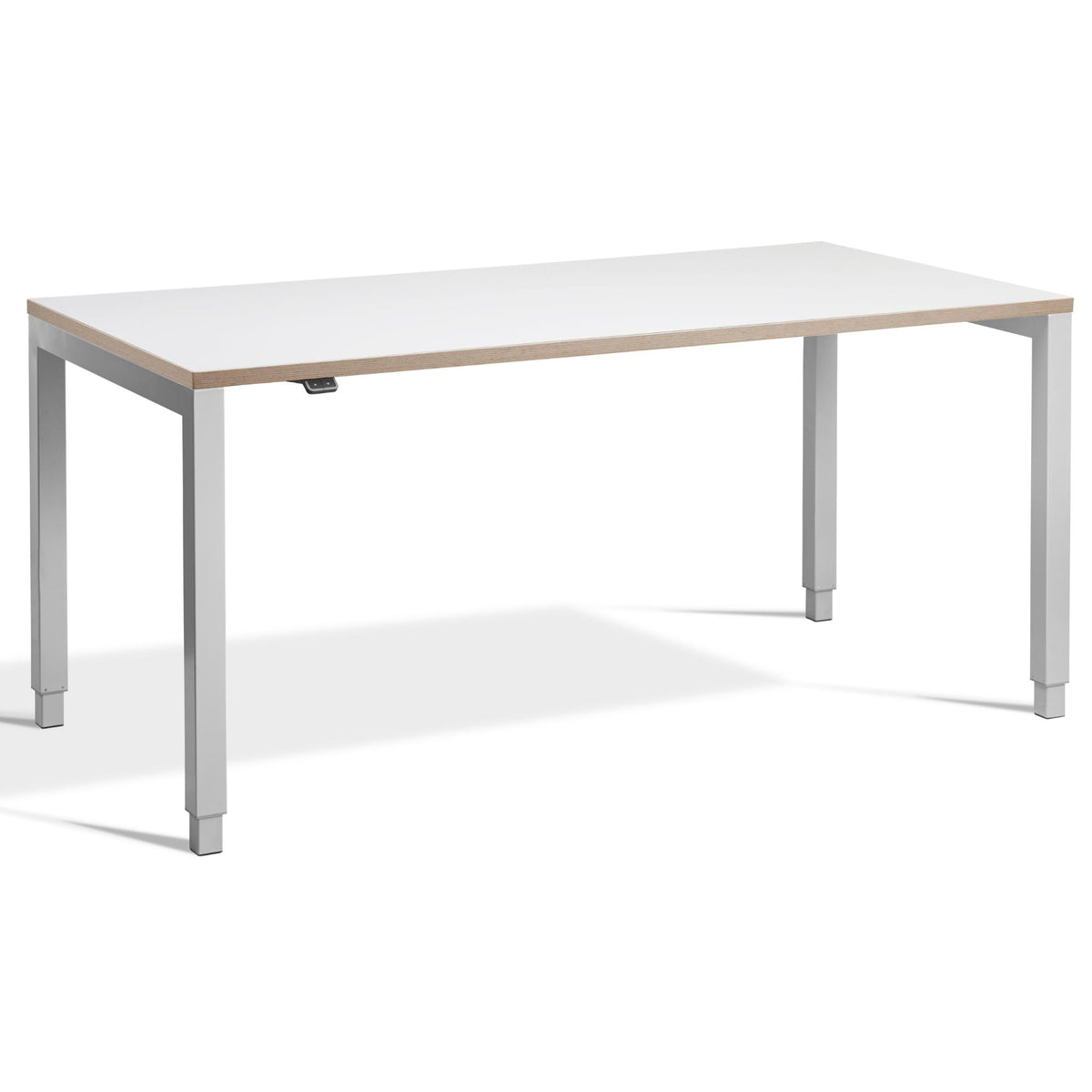 Four Leg Standing Desk - Rega - Silver Frame - White Ply Edge Top - Studio Image