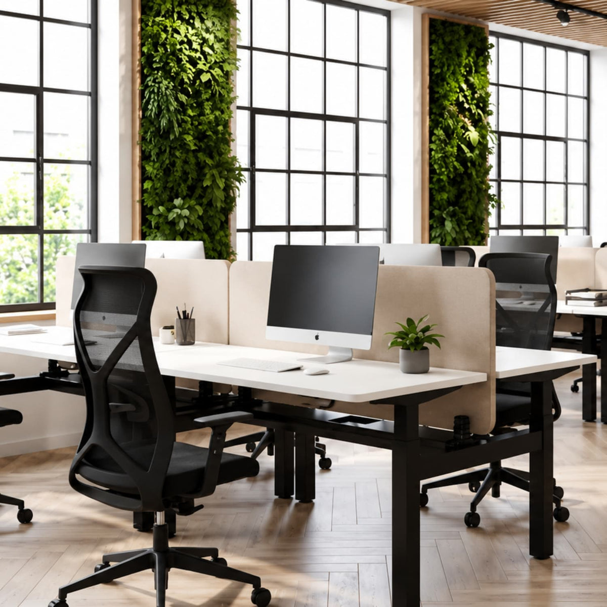 Height adjustable desk for 2 with white desk tops and privacy screens in an open-plan office