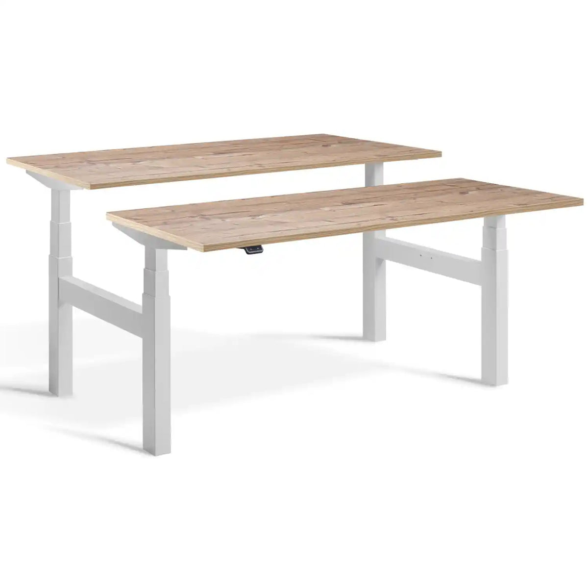 Lavoro Duo Standing Desk with light grey frame and Timber desk tops