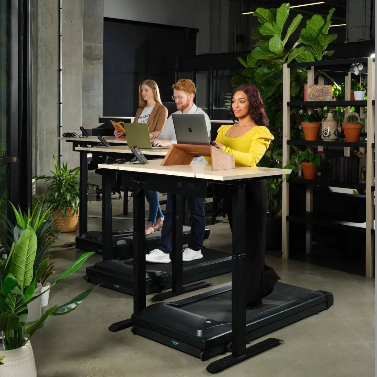 LifeSpan TR5000 Pro used with standing desks in office