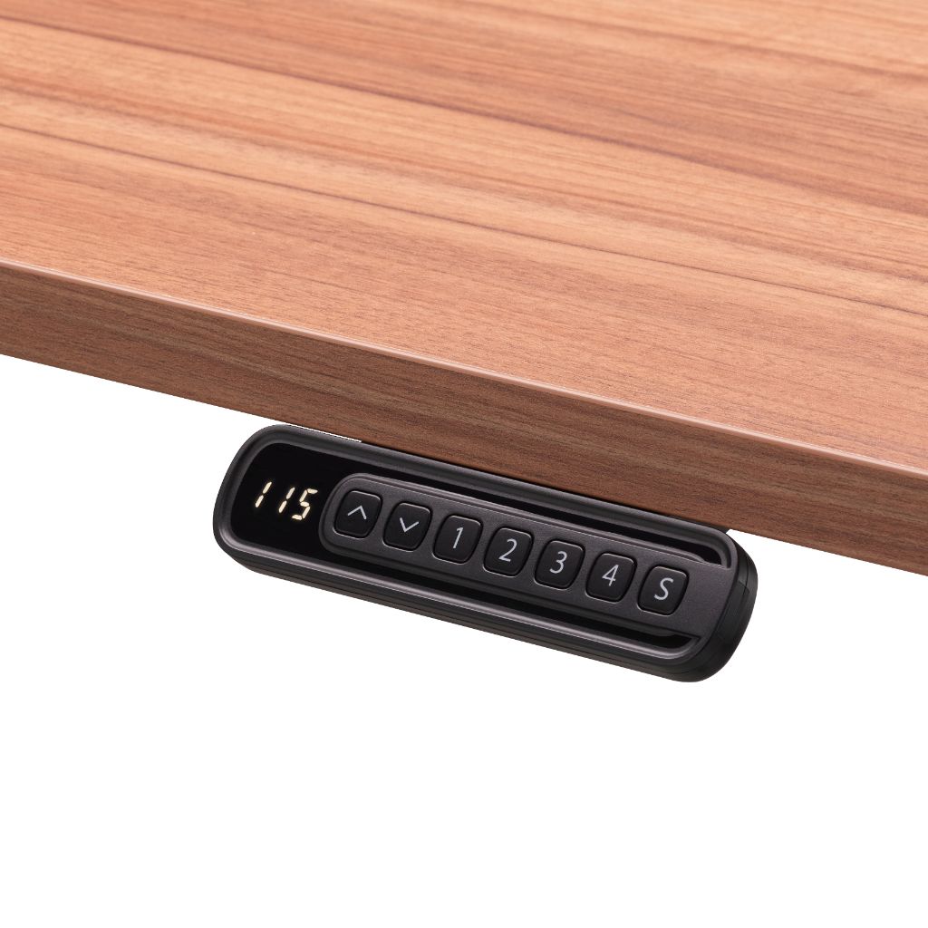 Rize1 memory controller for electric standing desk