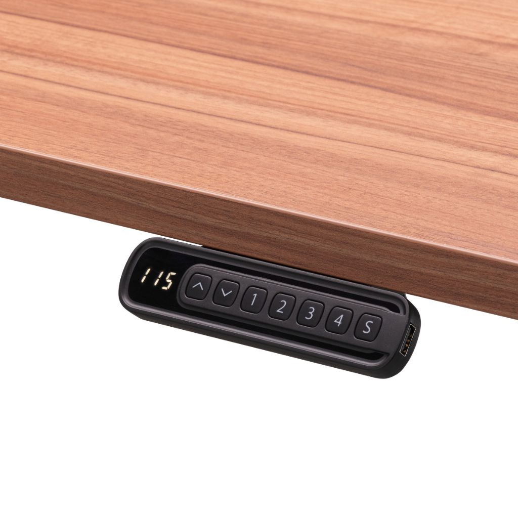 Rize2 memory control unit with usb for electric adjustable desk