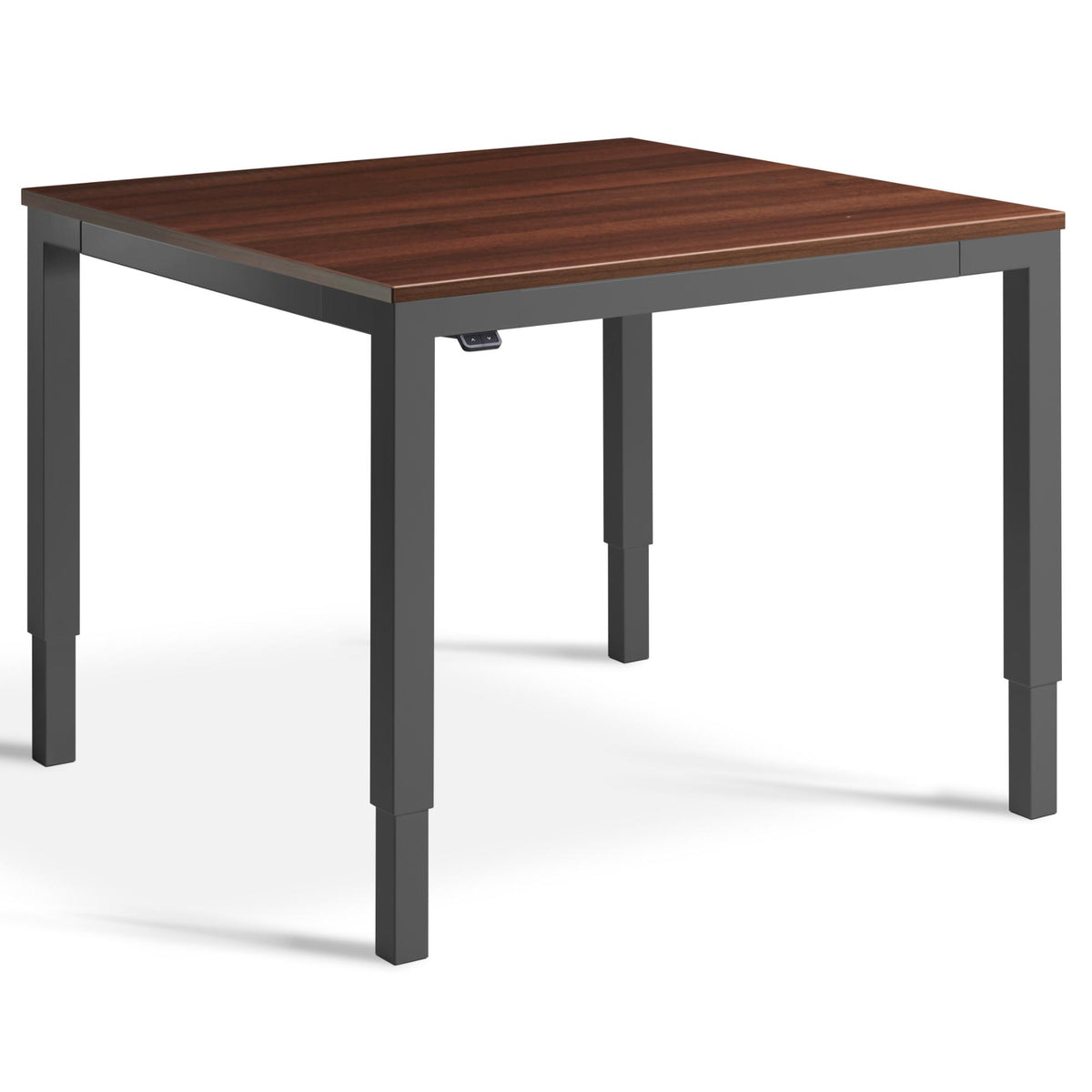 Small Adjustable Meeting Table - Altura Mini - Dark Grey Frame - Natural Dijon Walnut Top