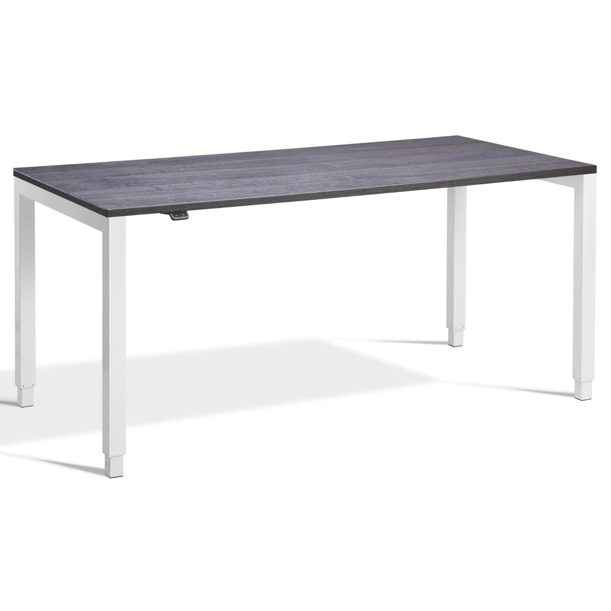 Standing Desk 4 Legs - Rega - White Frame - Anthracite Sherman Oak Top - Studio Image