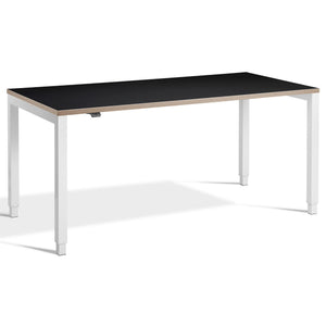 Standing Desk 4 Legs - Rega - White Frame - Black Ply Edge Top - Studio Image