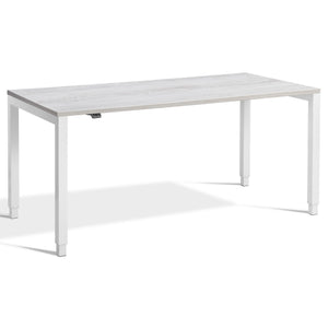 Standing Desk 4 Legs - Rega - White Frame - Cascina Pine Top - Studio Image