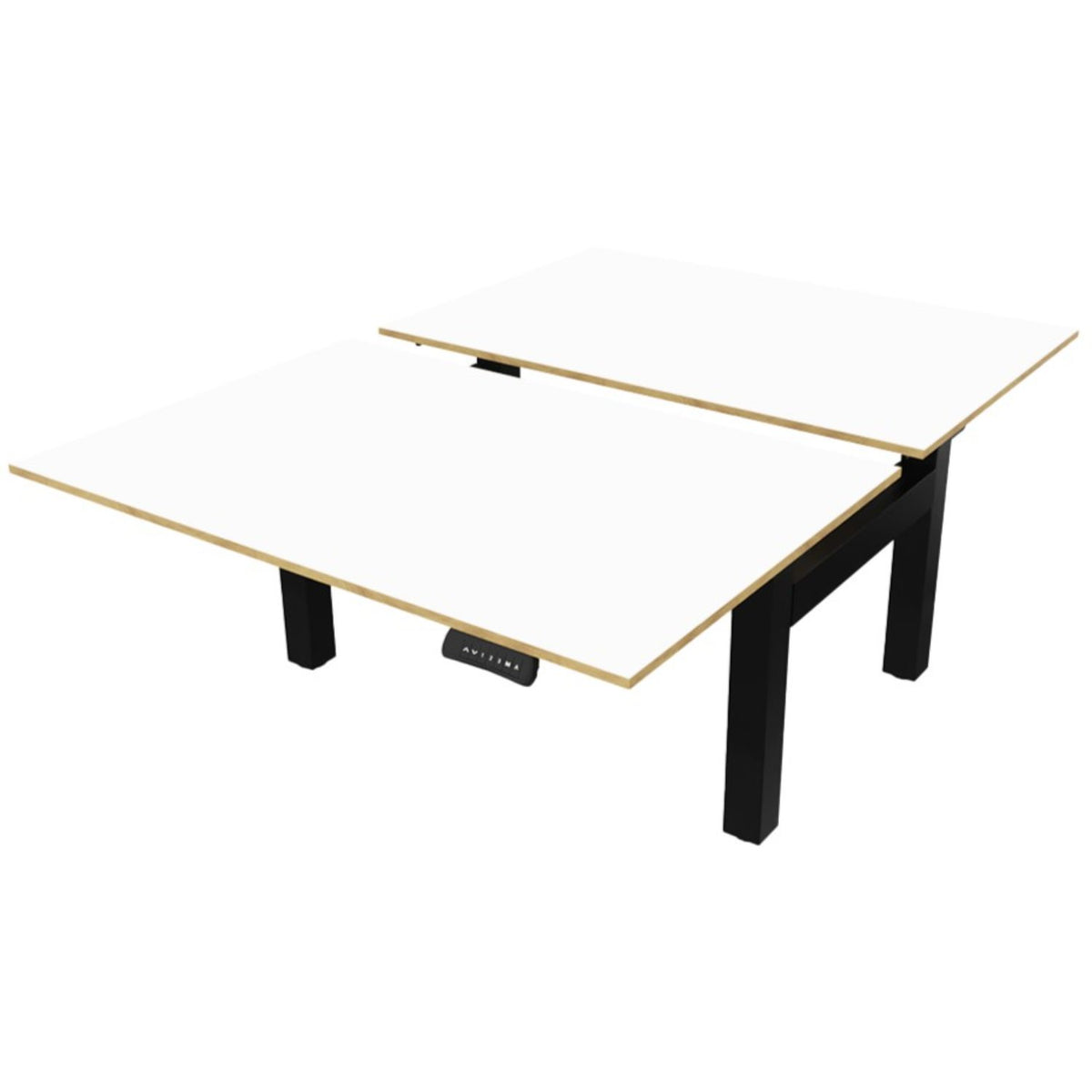 Two person standing desk with white oak desk tops and black frame