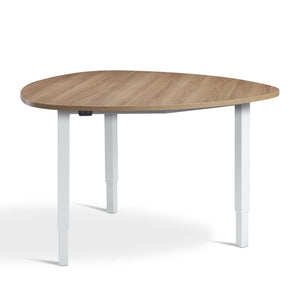medium sit stand meeting table brown oak top white frame front view