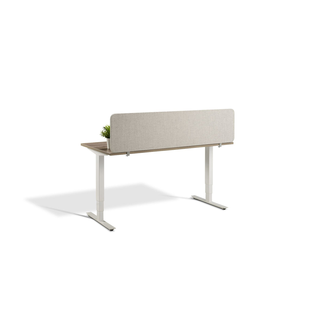 standing desk with privacy screen - rear view