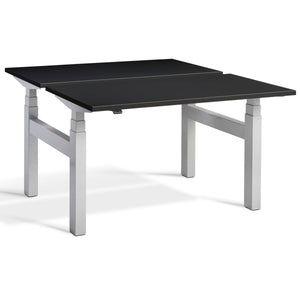 Dual Standing Desk Black Silver Frame