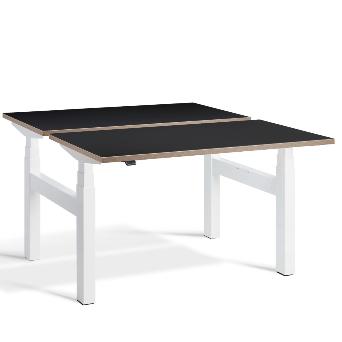 Dual Standing Desk Black Ply Edge White Frame