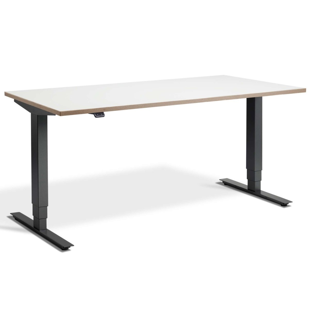 Masta white standing desk with anthracite frame viewed from front