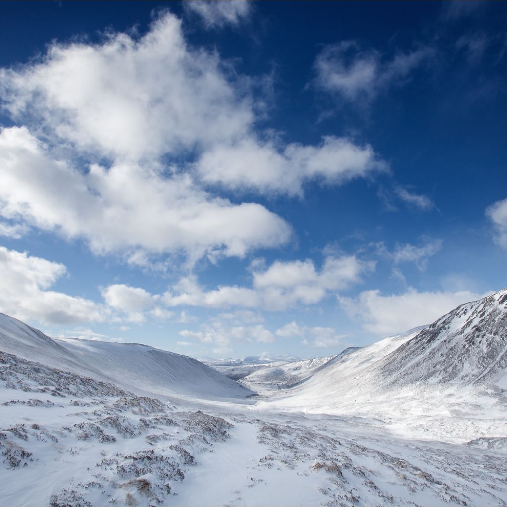 Infrared Picture Heater with Wifi Control - Cairngorms